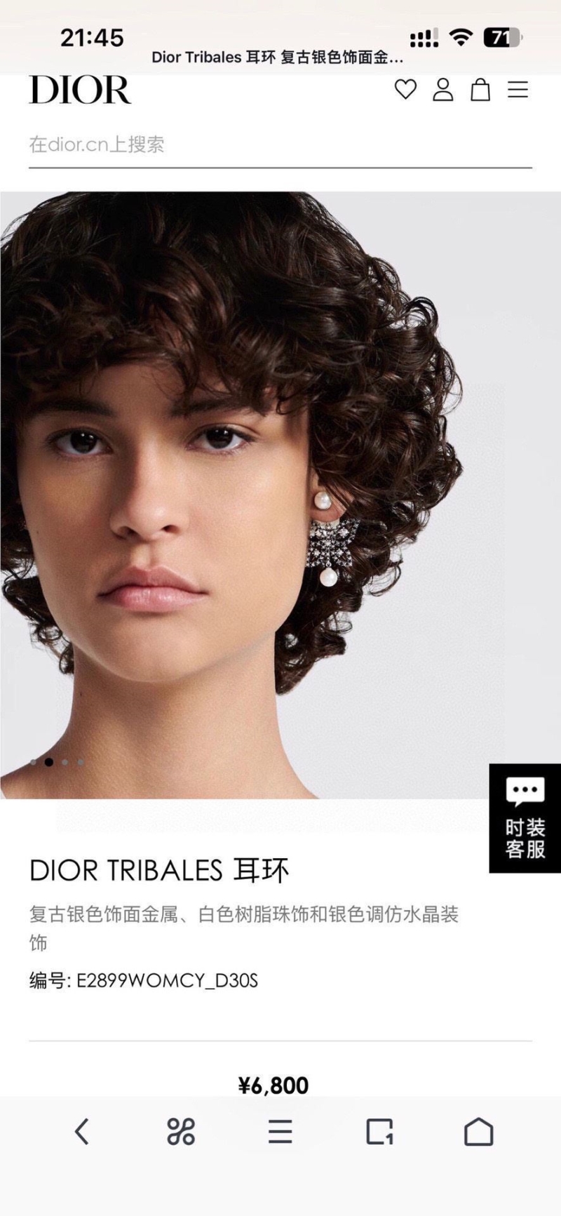 Christian Dior Earrings